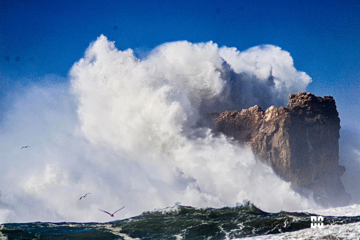 A powerful wave crashes against a rocky formation, sending a plume of white spray into the air. Seagulls can be seen soaring in the nearby sky, highlighting the dynamic nature of the coastal landscape.
