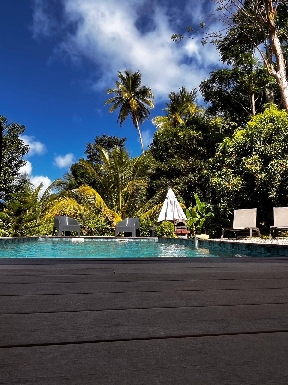 A serene swimming pool is surrounded by lush tropical greenery and palm trees. A white umbrella provides shade over poolside loungers, while the clear blue sky enhances the overall calm atmosphere.