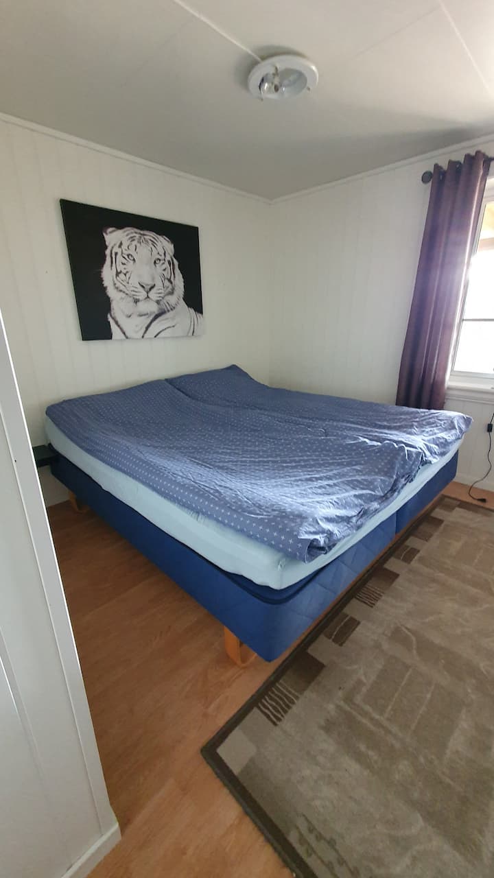 Quarto 1
