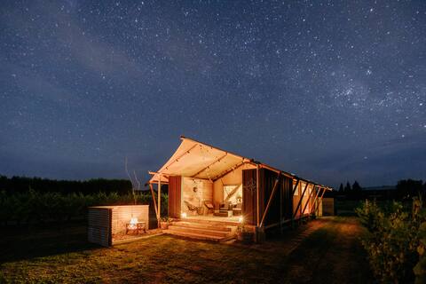 Vineyard Summer Glamping - Savvy, Hastings/Napier