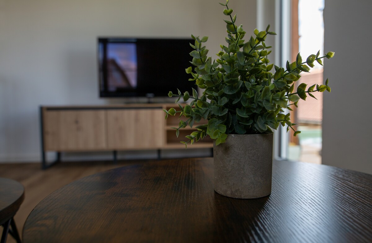 Erfolgreiche Airbnb-Immobilie: New* Black Forest- Apartment Unteralpfen in Waldshut