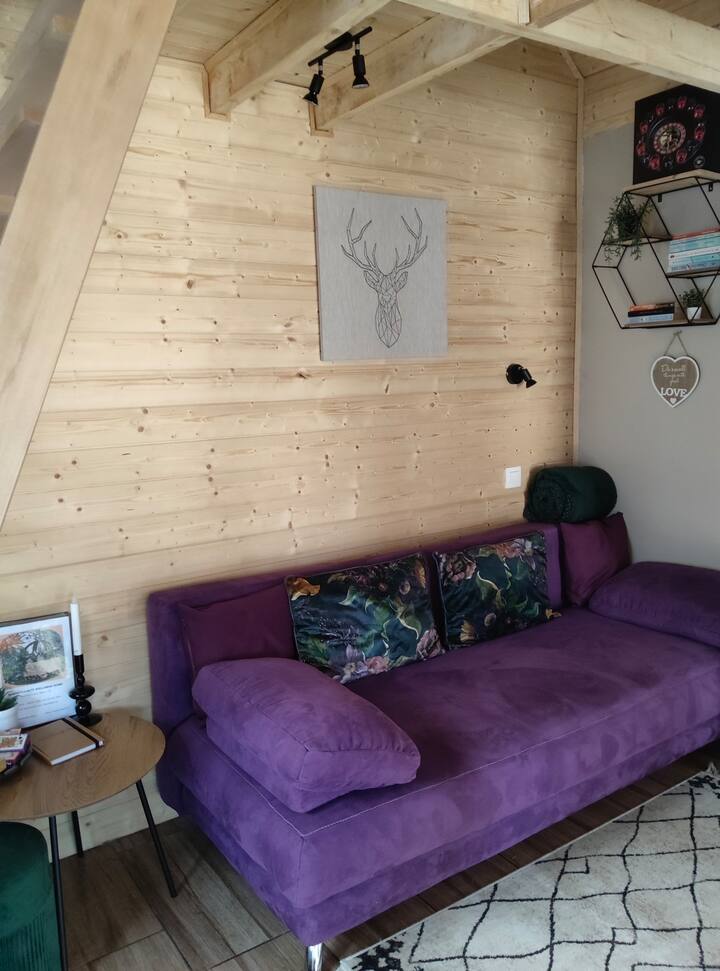 Faház A Fenyők Alatt Borostyánkút Wellness Home Ii - Bakonybél