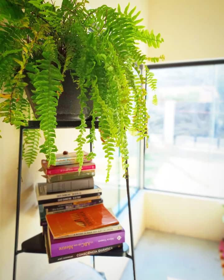 ห้องนั่งเล่น