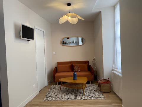 Top performing Airbnb: Entire apartment in the historic center of DINAN in Dinan