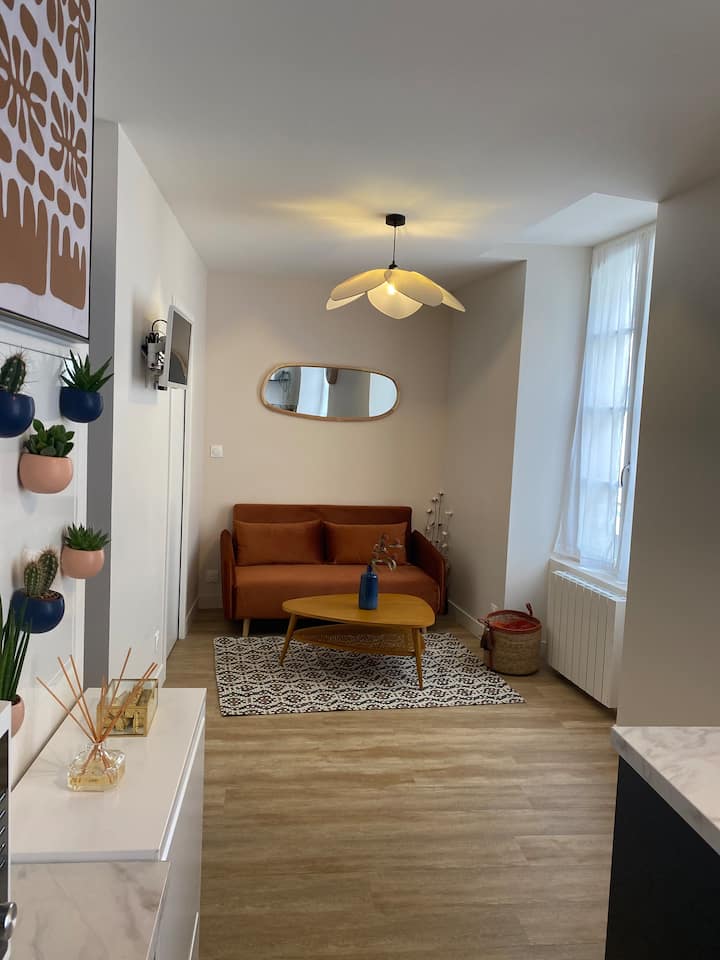 Appartement Entier Centre Historique Dinan - Dinan