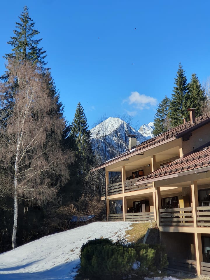Chalet Paradiso - Campiglio - Molveno