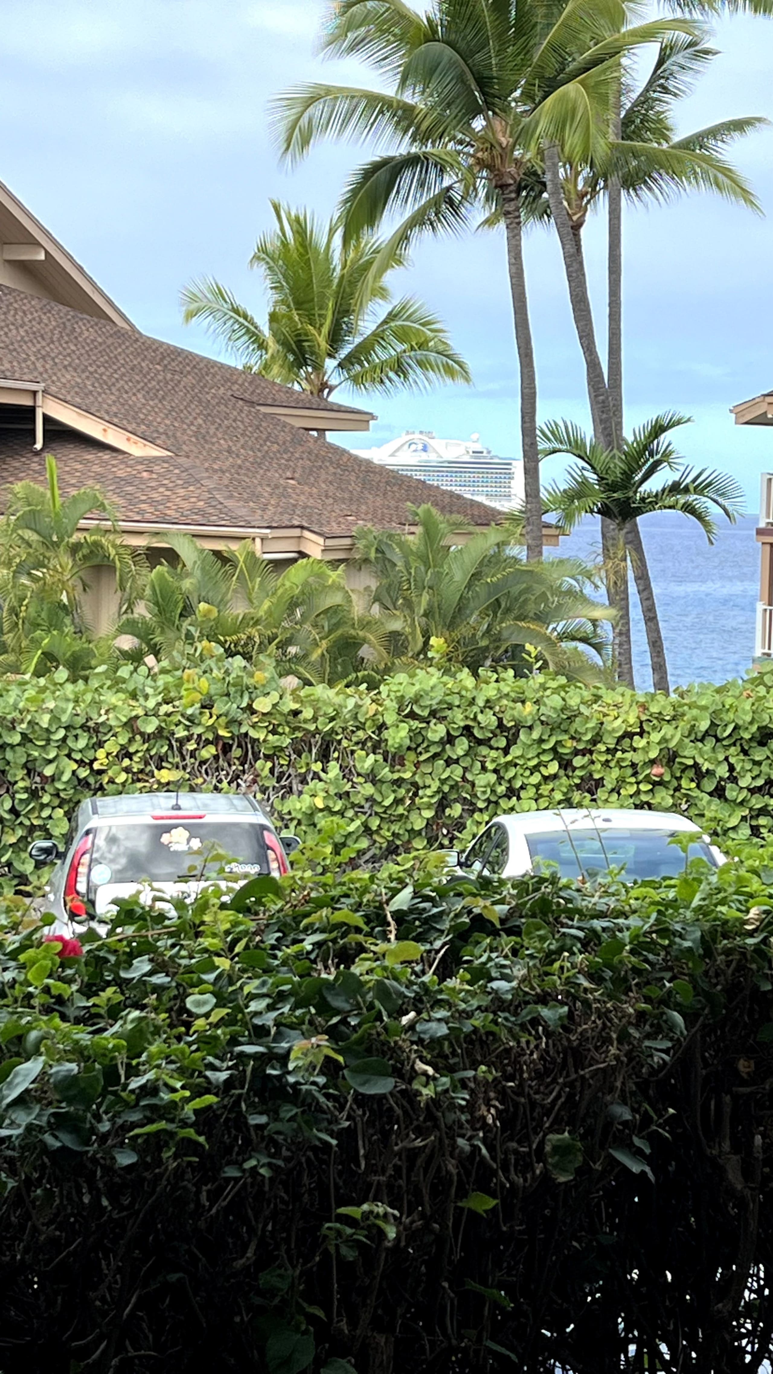 Condo in Kailua-Kona · ★4.94 · 1 bedroom · 2 beds · 1 private bath - Image 34