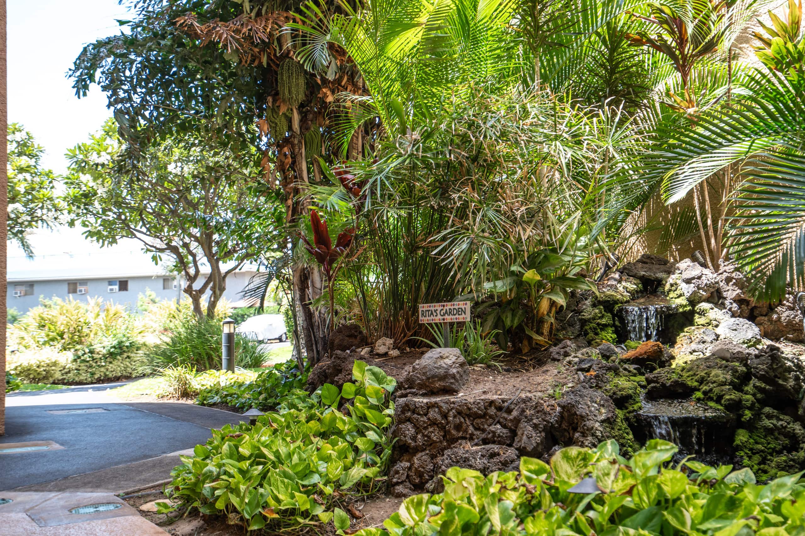 Condo in Kihei · ★4.97 · 2 bedrooms · 4 beds · 2 baths - Image 43