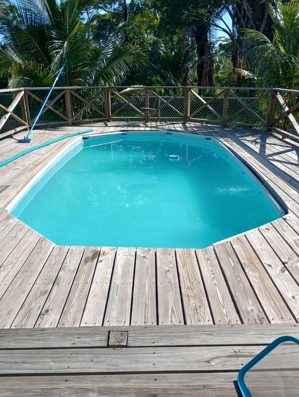 A private pool is framed by a deck made of wooden planks, surrounded by lush greenery. The clear turquoise water invites relaxation under the sun, while a wooden fence provides privacy. A blue cleaning pole sits by the pool's edge.