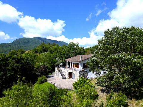 [Forest House] Ultra-Fast Wi-Fi and Unique View