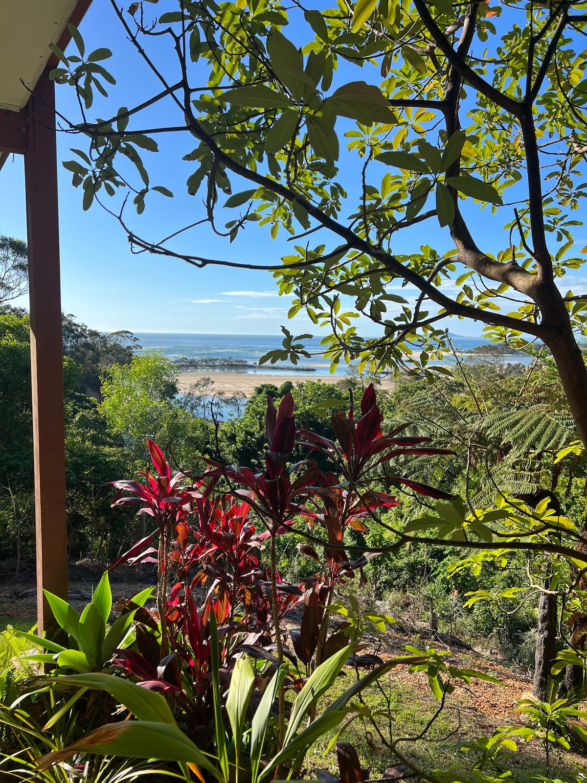 A view showcasing the coastline framed by lush foliage. Vibrant tropical plants in the foreground lead to a sandy beach and the ocean, with clear blue skies above. The natural scenery emphasizes a serene atmosphere in a secluded environment.