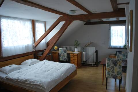 central 50m2 attic