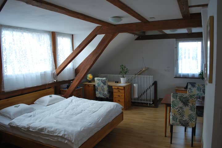 Central 50 m² attic apartment