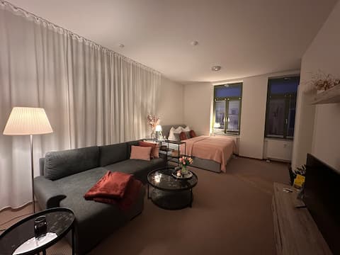 Top Airbnb: Accessible city apartment in Plauen