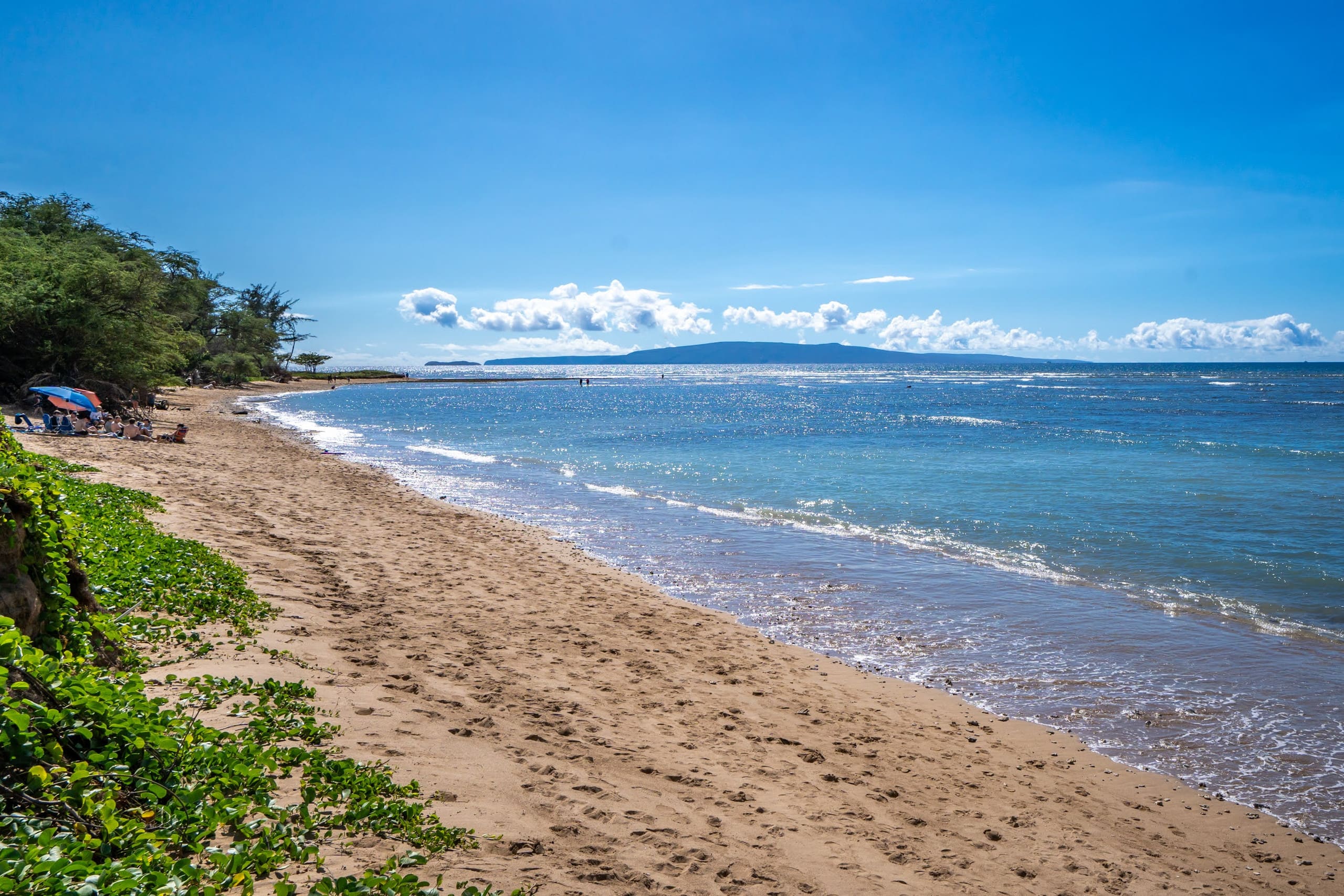 Condo in Kihei · ★4.95 · 2 bedrooms · 3 beds · 2 baths - Image 55
