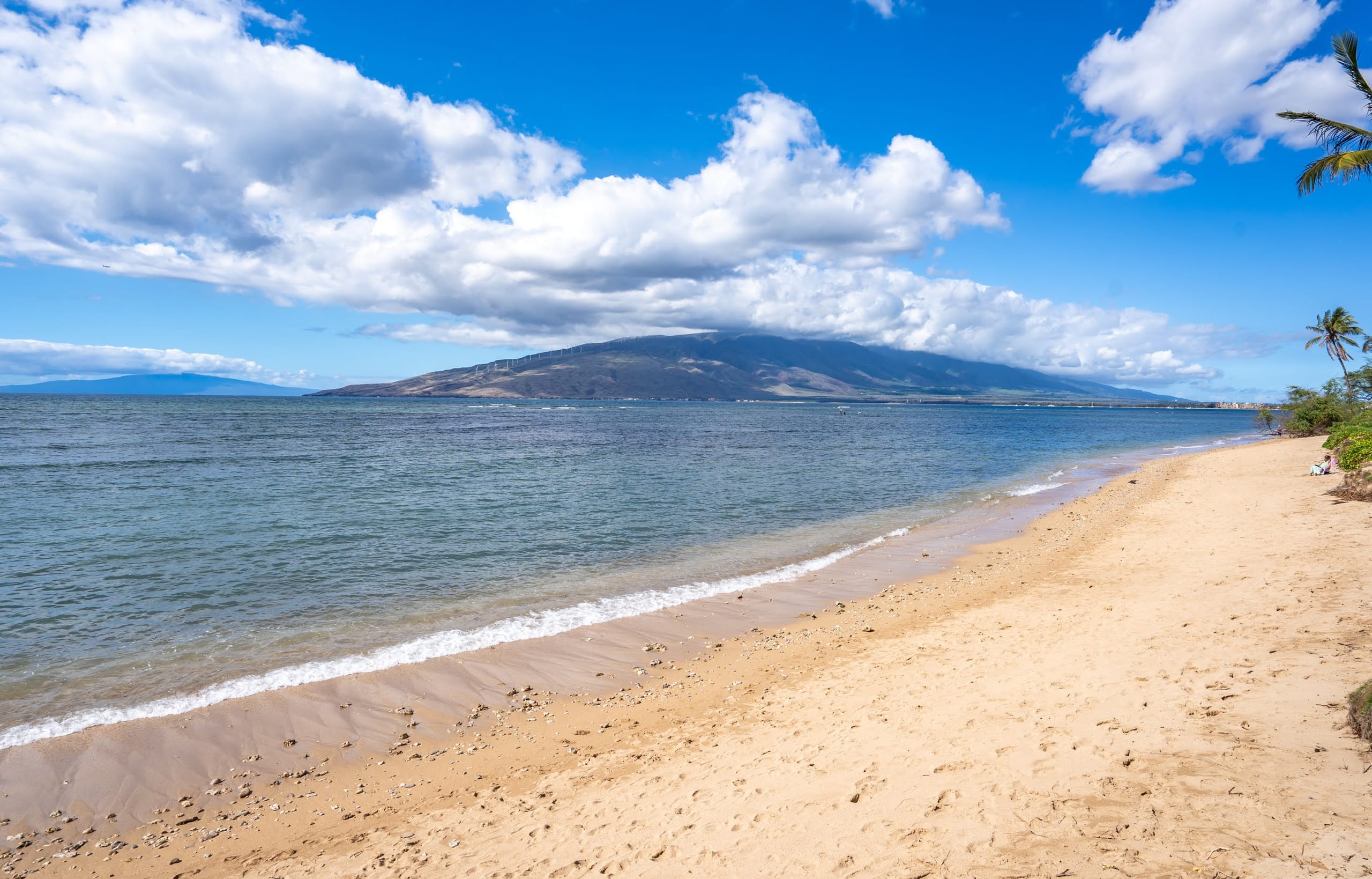 Condo in Kihei · ★4.95 · 2 bedrooms · 3 beds · 2 baths - Image 49