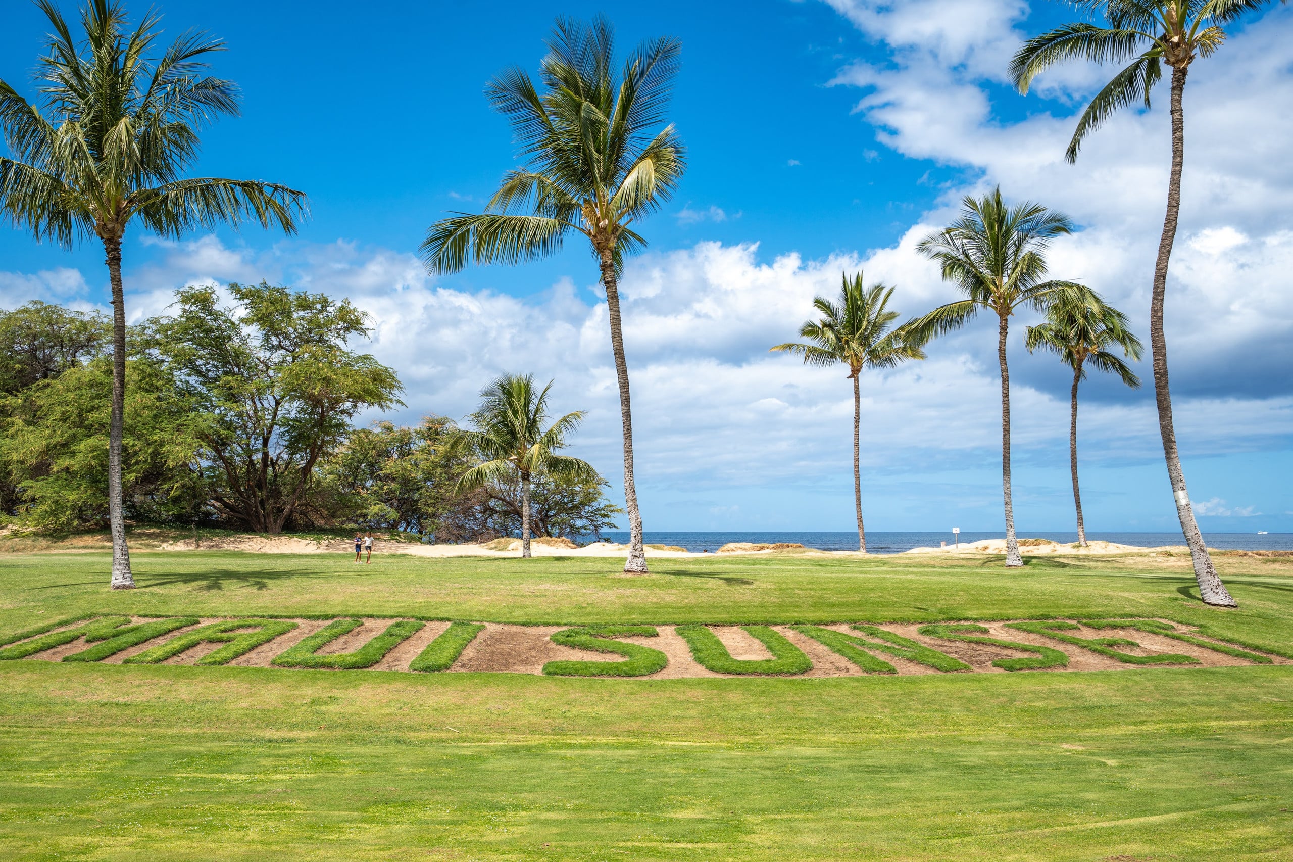Condo in Kihei · ★4.95 · 2 bedrooms · 3 beds · 2 baths - Image 75