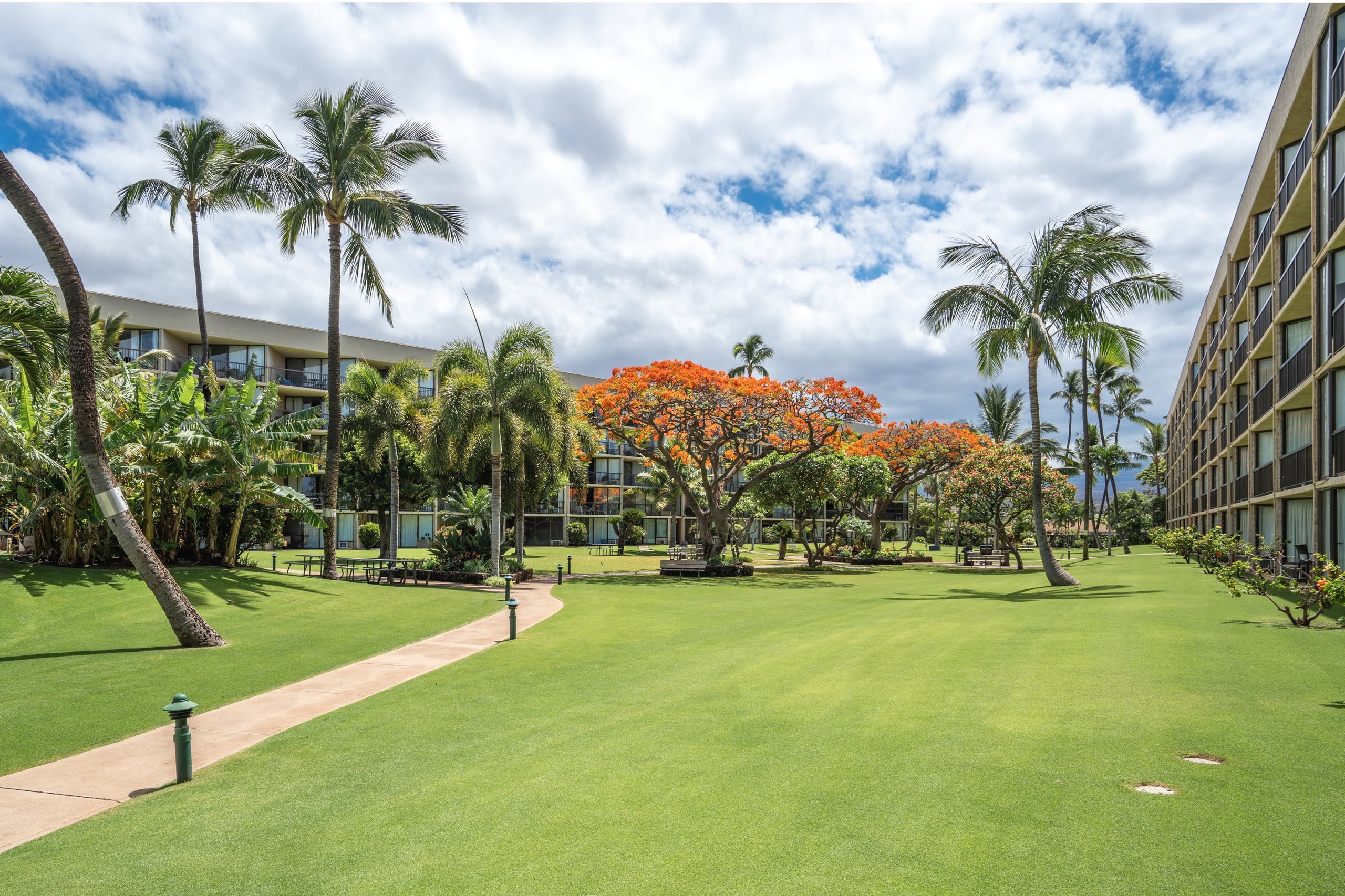 Condo in Kihei · ★4.95 · 2 bedrooms · 3 beds · 2 baths - Image 62