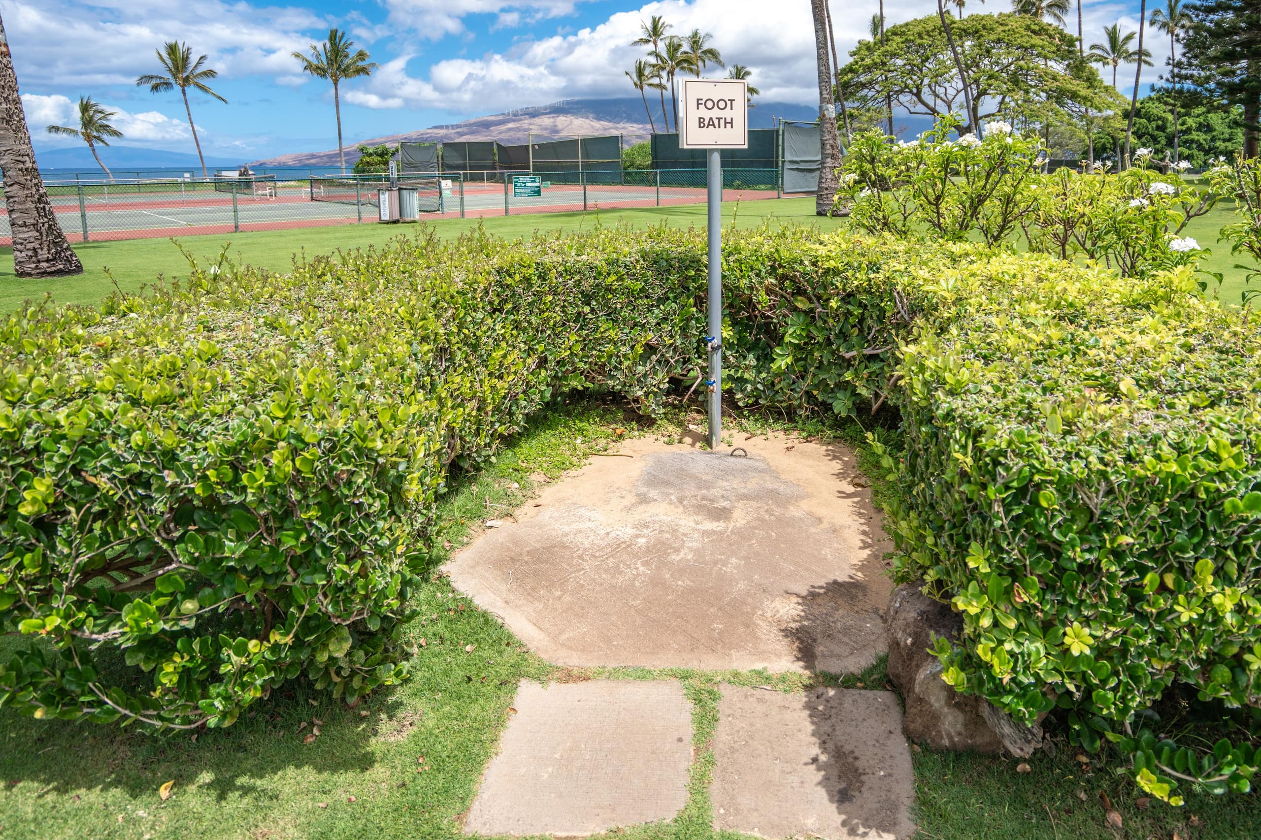 Condo in Kihei · ★4.95 · 2 bedrooms · 3 beds · 2 baths - Image 66