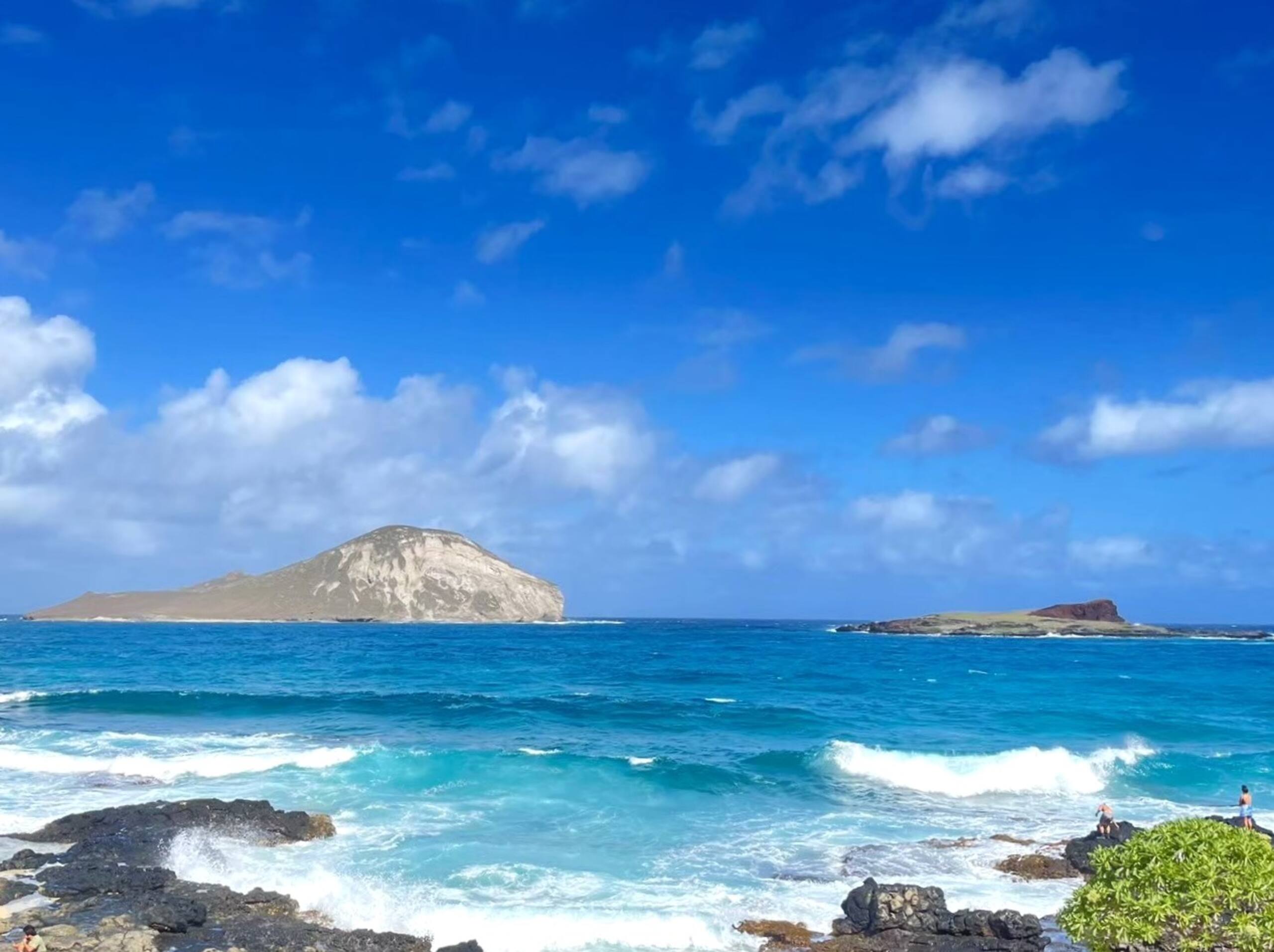 Condo in Honolulu · ★4.63 · Studio · 1 bed · 1 private bath - Image 38