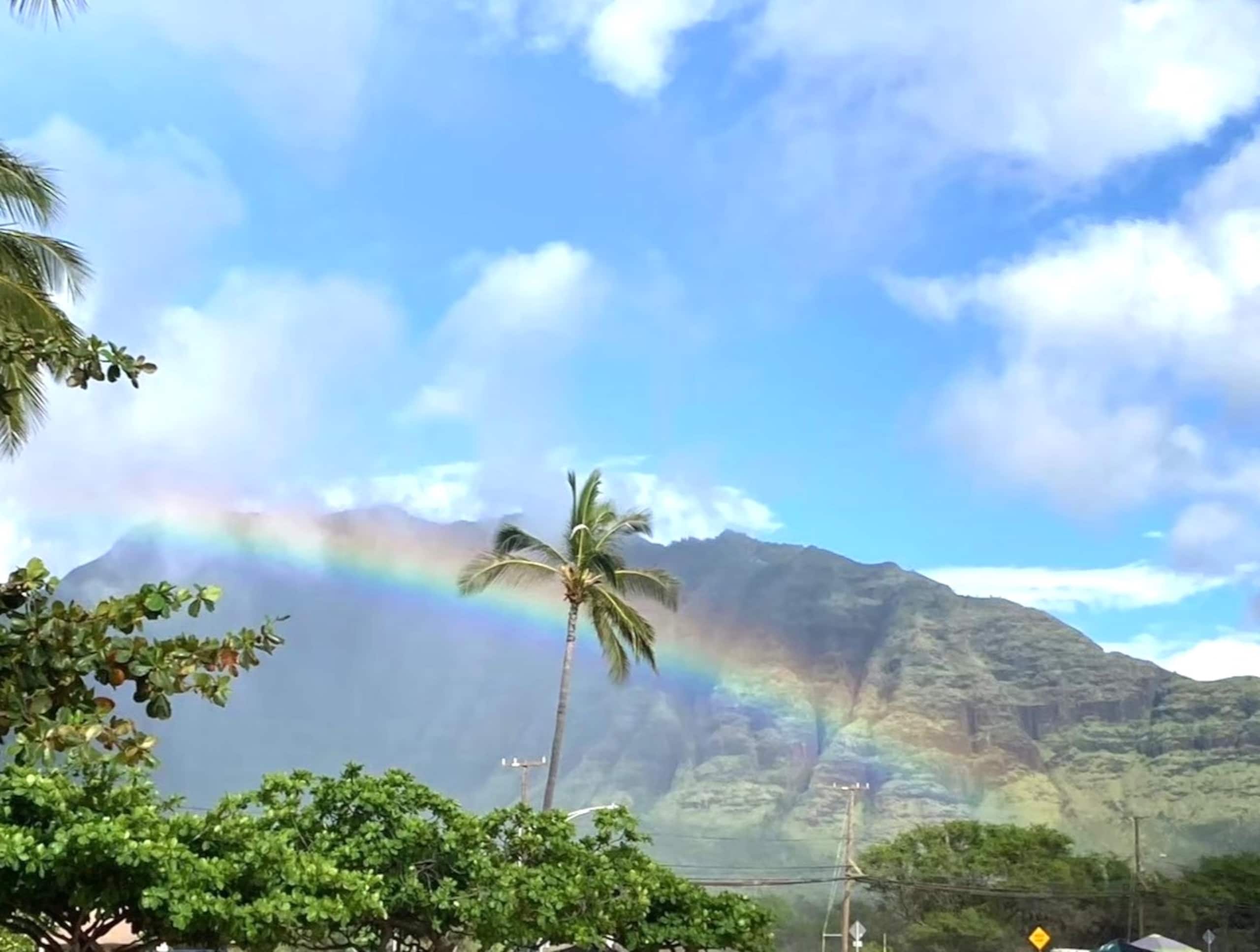 Condo in Honolulu · ★4.89 · Studio · 1 bed · 1 private bath - Image 38