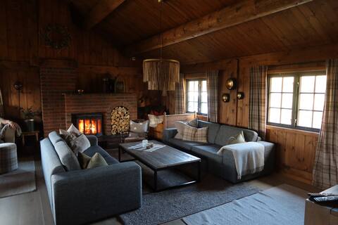Popular Airbnb listing: Cozy family cabin on Sjusjøen in Ringsaker