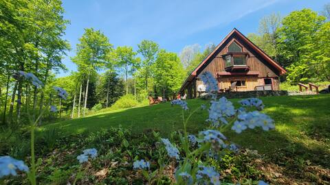 Relax in the heart of the forest