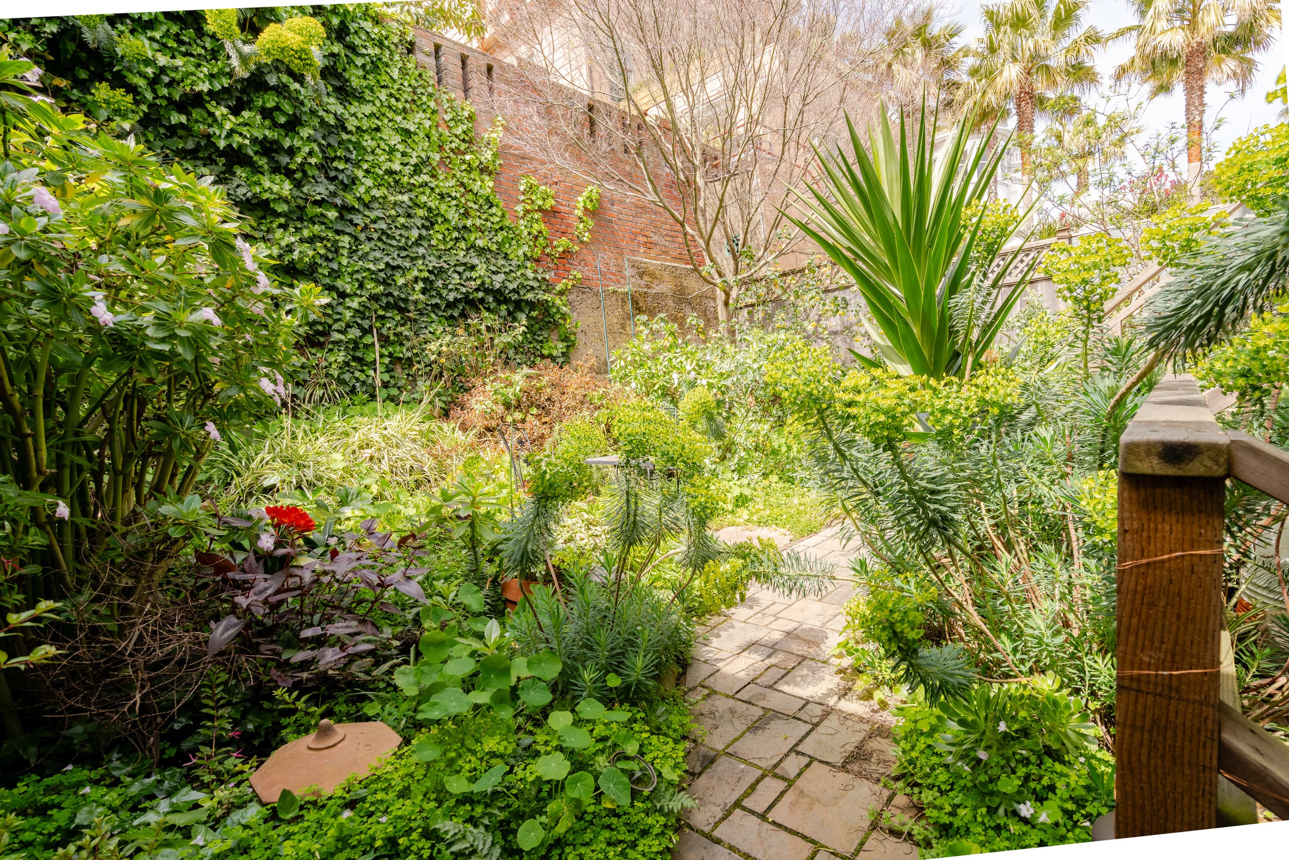 Home in San Francisco · ★4.94 · 3 bedrooms · 3 beds · 2.5 baths - Image 4