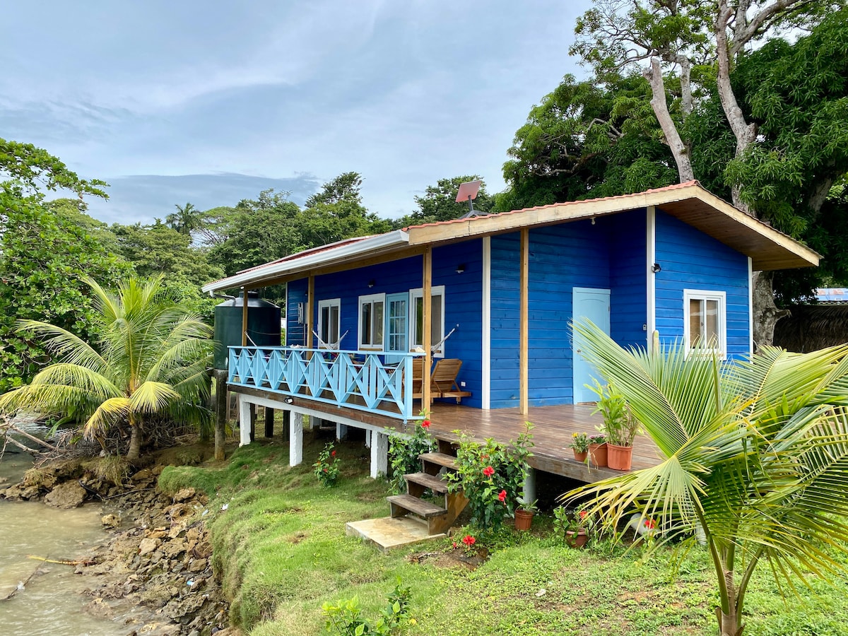 A rustic house is situated at the water's edge, featuring a vibrant blue exterior and wooden deck. Potted plants and palm trees can be seen along the grassy area, with steps leading down to the rocky shoreline. Lush greenery surrounds the property.