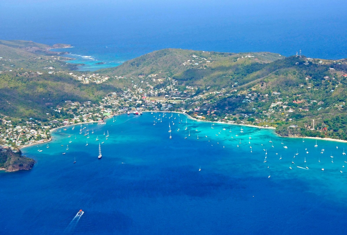 A panoramic view of Admiralty Bay reveals a vibrant blend of turquoise waters dotted with various boats and yachts. The surrounding hills display lush greenery, while the charming coastal village is visible along the shoreline, creating a serene and inviting atmosphere.