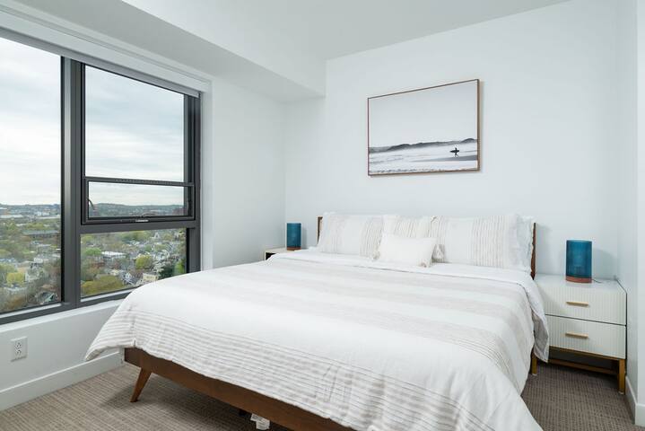 Central Square Penthouse near MIT Harvard Wi-Fi & gallery image 2