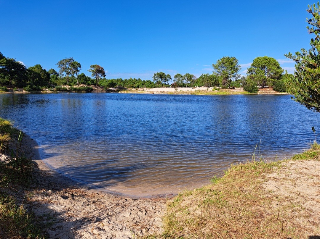 A calm water body is surrounded by a sandy shore and greenery, with trees reflecting off the surface. The clear blue sky enhances the tranquil setting, providing a peaceful environment for visitors.