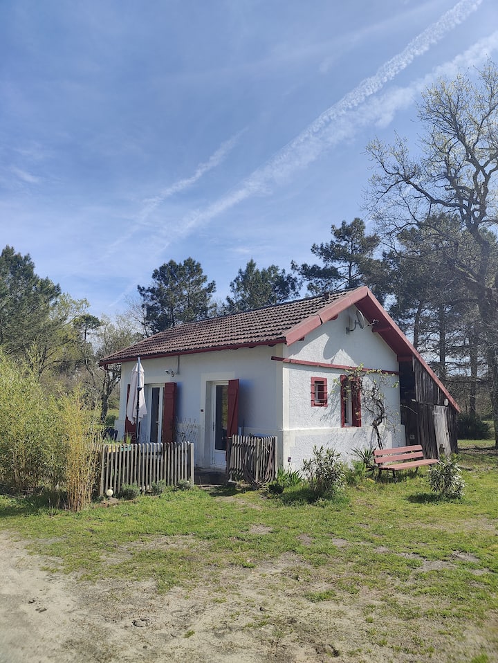 La Maison Des éCureuils - Castets
