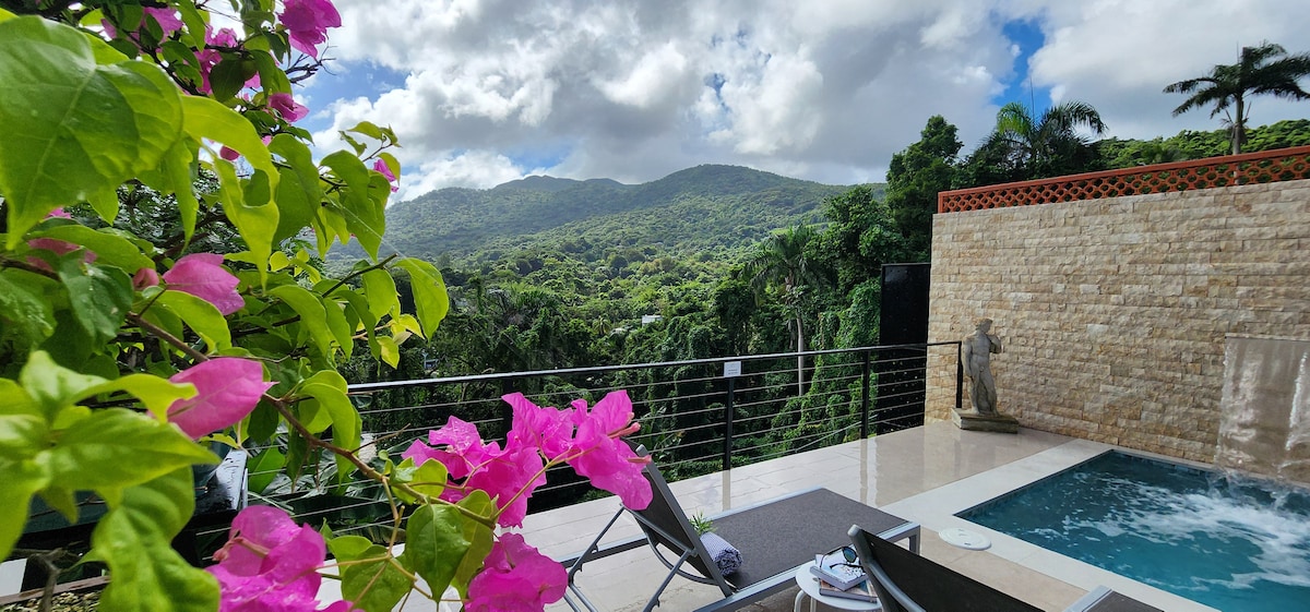 A spacious terrace is presented, featuring a calming pool with views of lush mountains in the background. Bright pink flowers add a touch of color to the scene, while a statue complements the tranquil setting. The space invites relaxation amidst natural beauty.