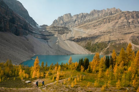 Combo3A! Banff Gate New Reno Units for Team Group