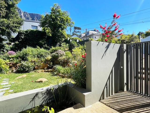 Into the Forest gallery image 4