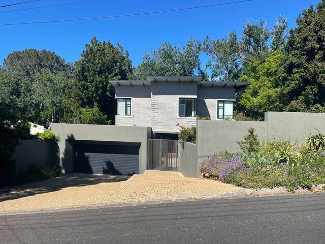 Into the Forest gallery image 3