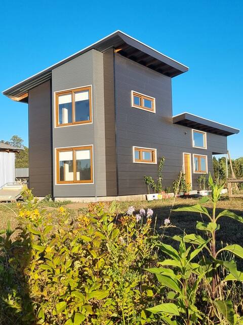 Cabin on plot 4 km square Chillan-factura