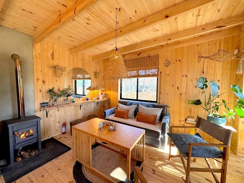 Cabin in the Treasure