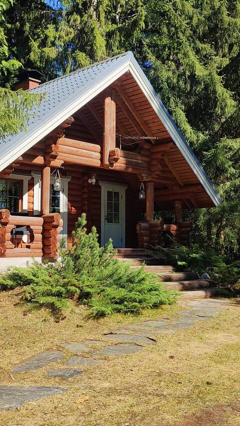 Cottage on the shore of Isojärvi