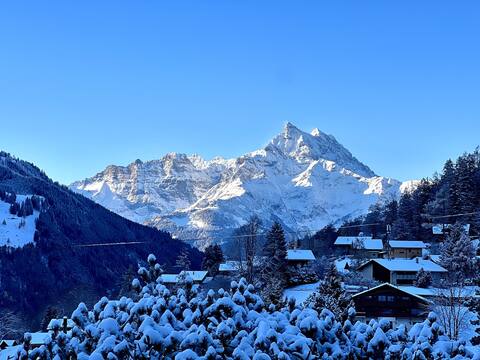 2 min. gondola - Chalet with Panoramic View