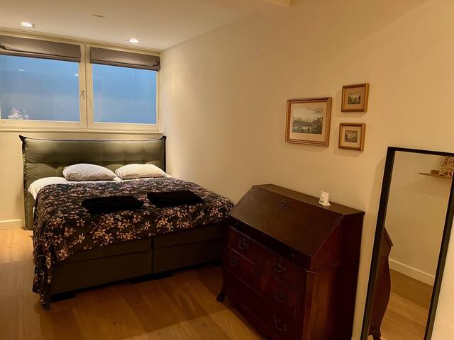 Large house next to Vondelpark gallery image 3