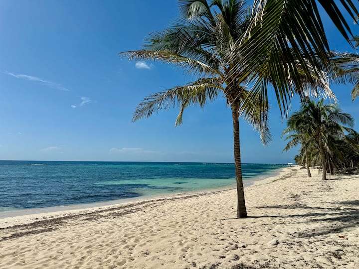 Breathtaking Ocean Front Sea Palm Villa #3 - Cayman Islands