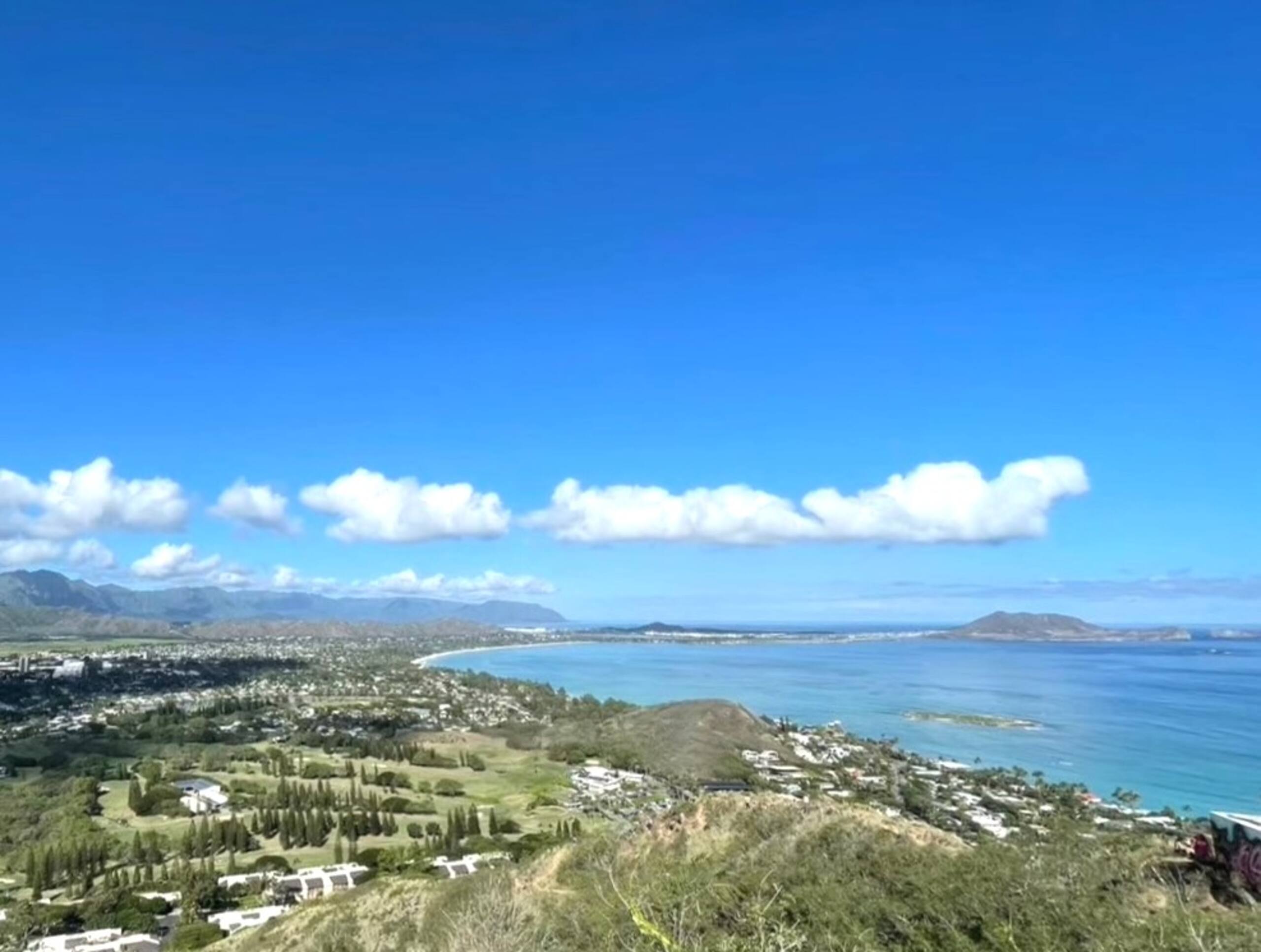 Condo in Honolulu · ★4.77 · 1 bedroom · 1 bed · 1 bath - Image 21