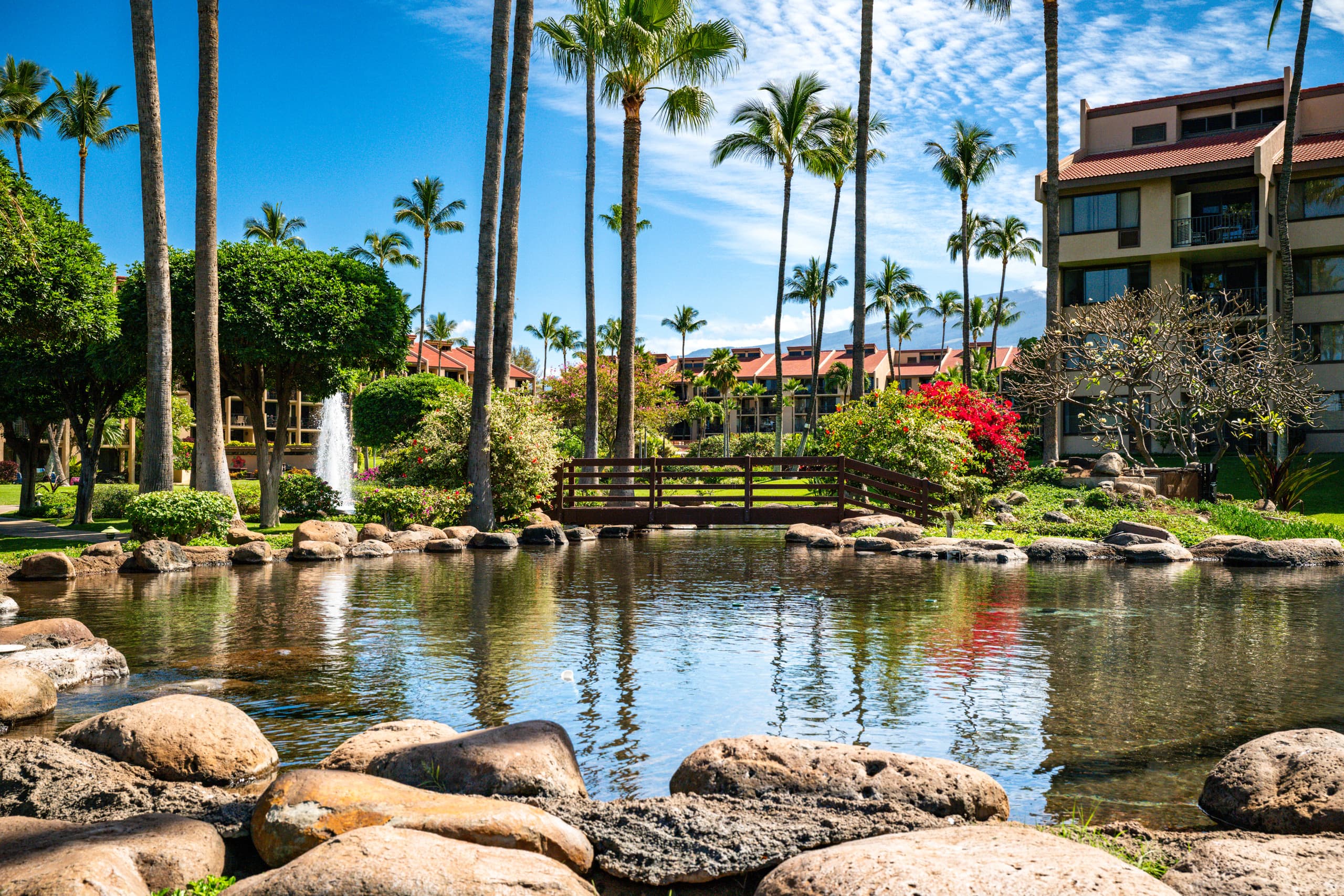 Condo in Kihei · ★4.93 · 1 bedroom · 3 beds · 2 private baths - Image 26
