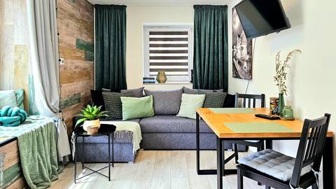 Sunny Window Apartment