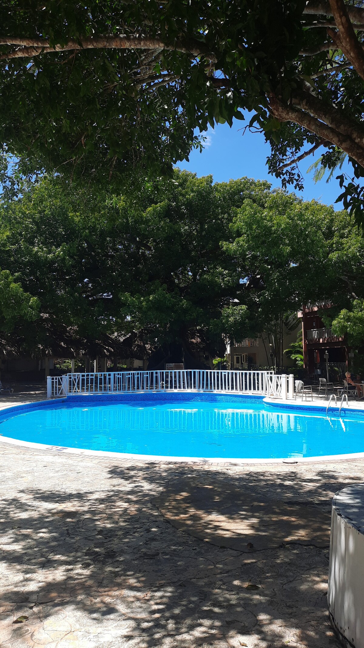 A round swimming pool is surrounded by a spacious deck, with white fencing providing enclosure. Lush green trees create a shaded atmosphere around the area, while sunlight reflects off the clear blue water, inviting relaxation in a serene outdoor setting.