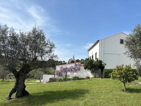 Quinta das Amoras - In the heart of the olive groves