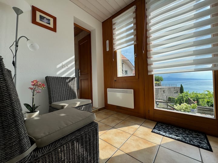Appartement Cosy Au Coeur Du Vignoble De Lavaux - Lausanne