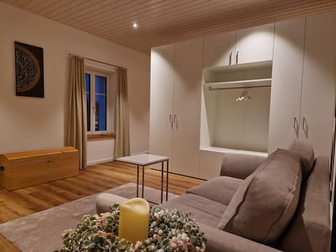 Top performing Airbnb: Apartment, quiet and central in St. Gallen